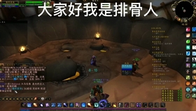 魔兽世界增强萨满[魔兽世界增强萨满穿什么甲]