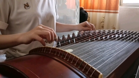 付娜女儿情古筝曲谱_付娜一帘幽梦古筝曲谱(4)