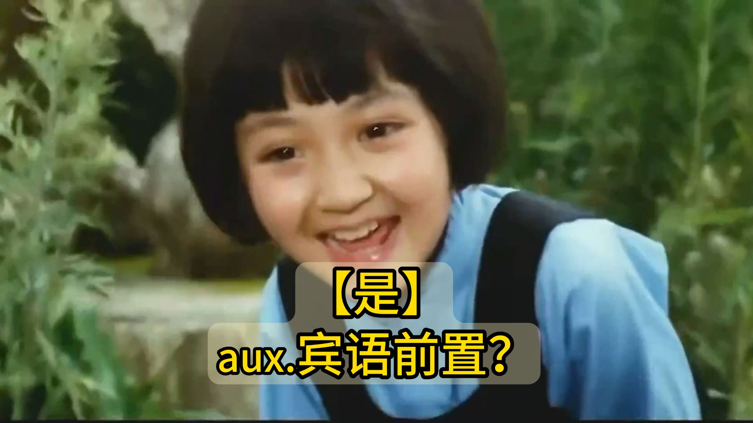 秒记文言文实词【是】