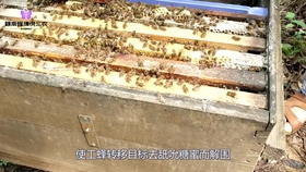 2c95a9c24d9421c3bc0ea9de8bf3b996a4c31c6d.jpg@280w_158h_1c_100q.jpg