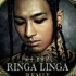 【BIGBANG】无处安放的BIGBANG魂之Ringa Linga