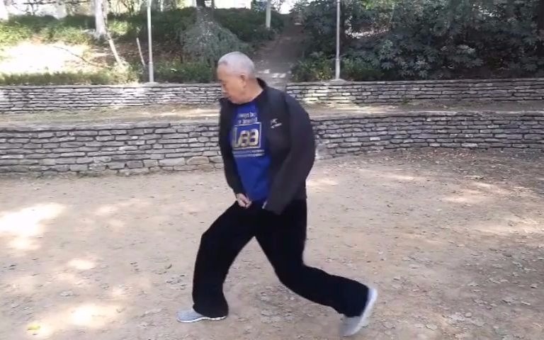 合肥心意六合拳名家张宁卫老师讲解心意拳龙调膀