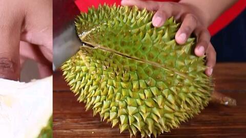 2cce9b660747ff79f278fd0d856d5b6fcd045484.jpg@480w_270h_1c