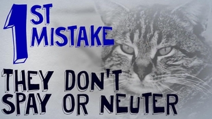  "Understanding Pet Poison: Signs, Prevention, and Emergency Response for Pet Owners"