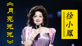 天涯孤客简谱_天涯孤客治愈画面