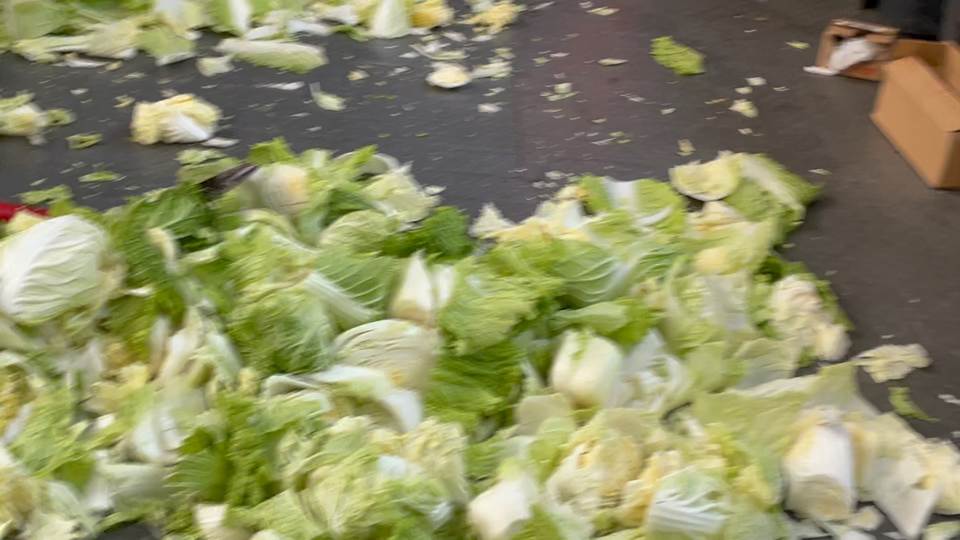 厨余垃圾不够！买了一堆白菜砍碎充垃圾：这就是北京海淀垃圾分类吗？群众来稿