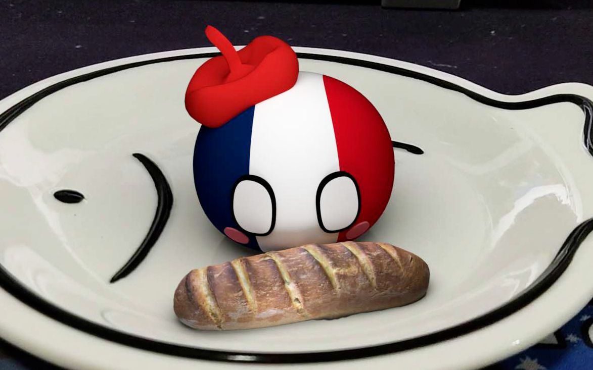 【波兰球】我抓到一只法国，然后…