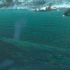 美到窒息，来自北欧挪威的鲸鱼与极光！战地5最高画质纳尔维克移轴摄影，建议使用耳机！