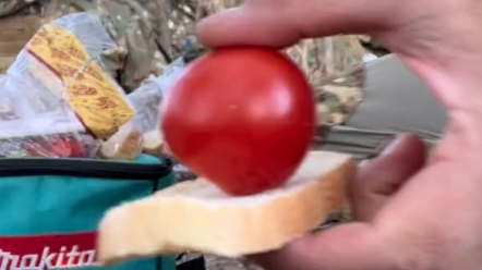 乌军在野战条件下的一顿简餐，面包、番茄和淀粉肠。