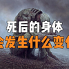根据熵增定律，我们每个人都将化作尘土，那么生命的意义到底是什么
