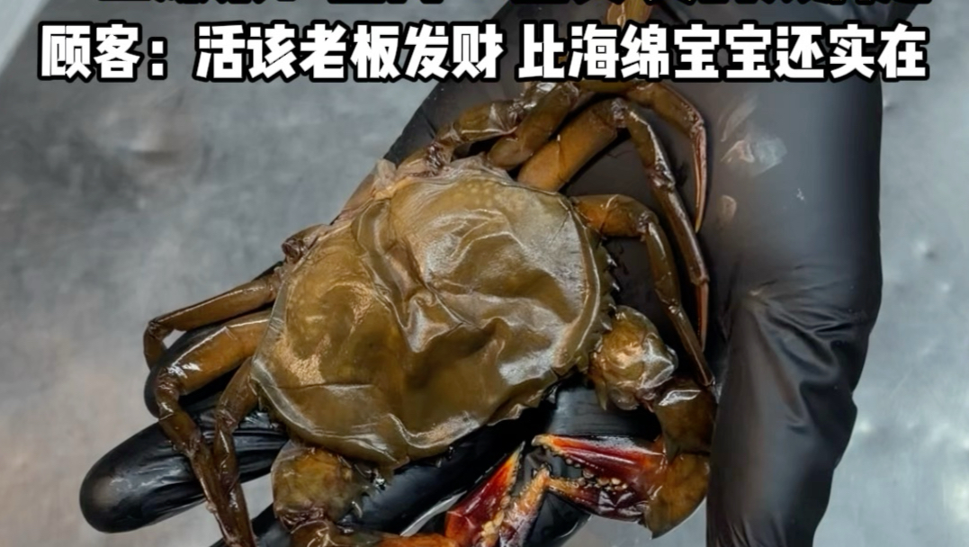 安徽首创还原“蟹黄堡”一个汉堡一整只软壳蟹一口爆浆：蟹肉＋蟹黄 真的太满足