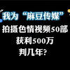 我为“麻豆传媒”拍片50部，获利500万，怎么判