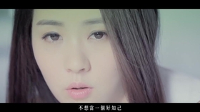 使徒行者2 乐少峰和郑淑梅第4集英文插曲 a trip with you claude pelouse