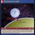 艾滋病的治疗方法-Treatment of HIV-动画