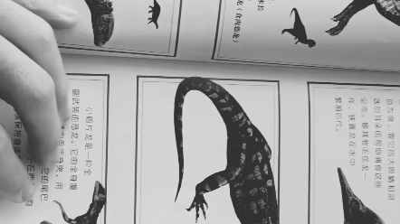 令古生物爱好者高血压的低幼恐龙书