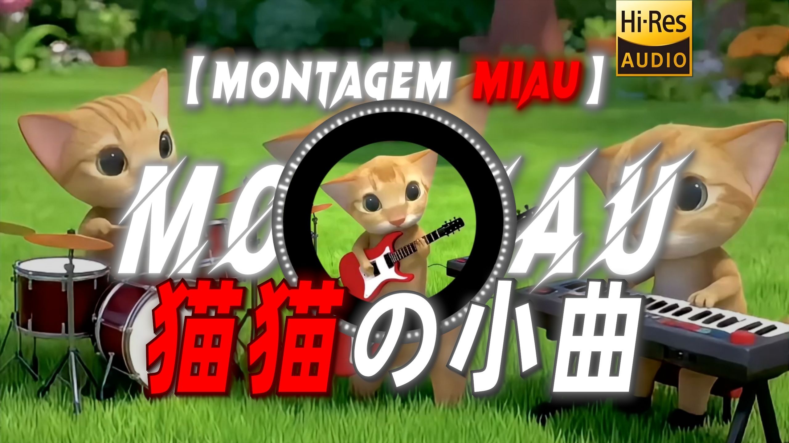 【Montagem Miau】|“【猫猫の小曲】在你的鼻孔尿尿~”