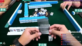 麻将怎么摆牌快 2d8ad8b1c9728c0340d961405873006b9c3c61d3.jpg@280w_158h_1c_100q.jpg
