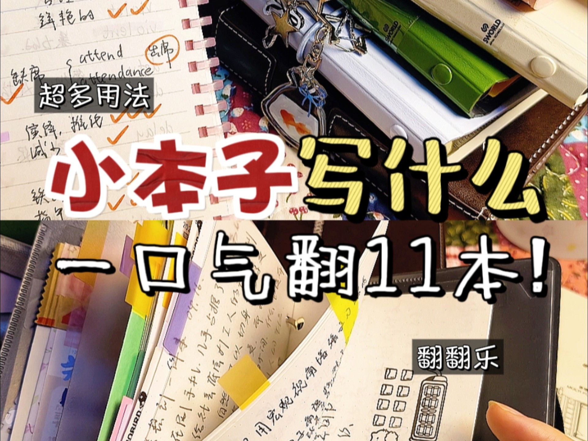 一口气翻11个小本子✨十几种用法合集‼️