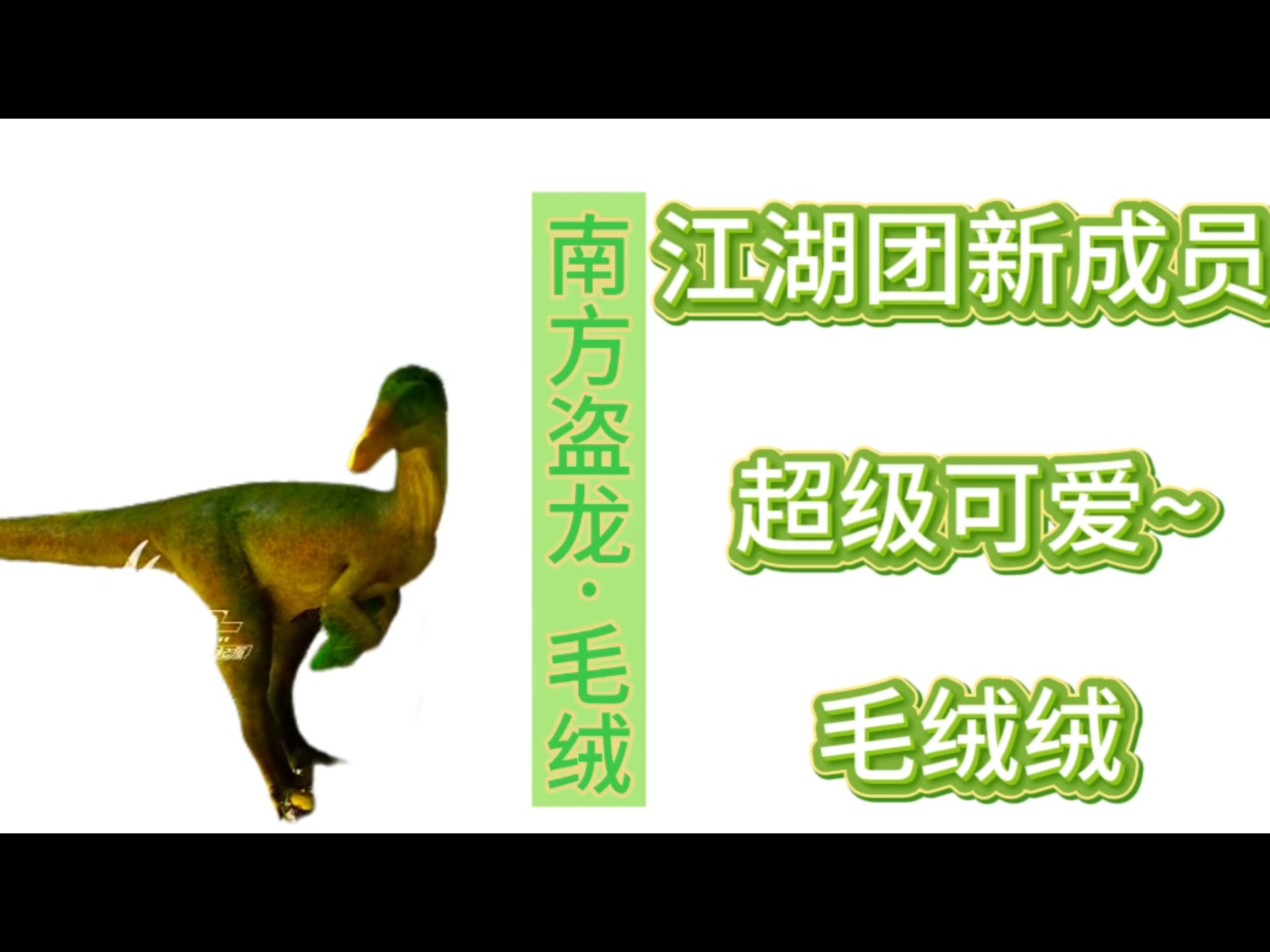 喜提新的团宠——毛绒