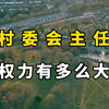 村委会主任（村长）的权力有多大