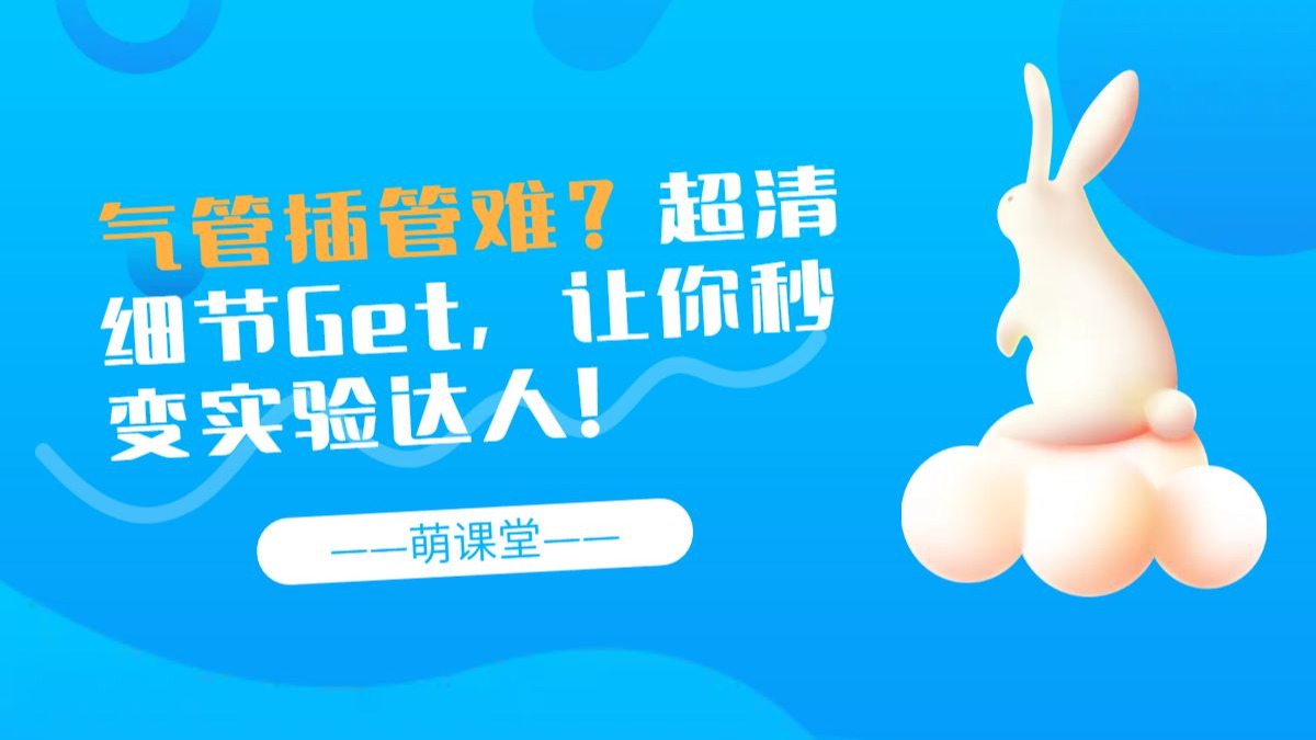 家兔气管插管，超清操作细节！让你掌握实验技巧！