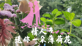 2dd045fcd31cae7dac1c221ed28663b6b892e710.png@280w_158h_1c_100q.jpg