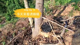 2dfe8f6acdf5f6ed08f0f0b68b0eed0ec9f0d86a.jpg@280w_158h_1c_100q.jpg