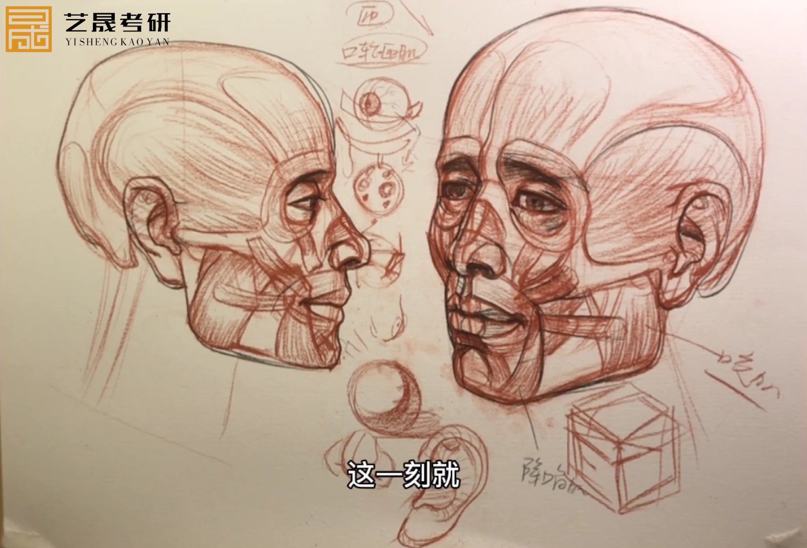 中国美术学院|头部解剖讲解