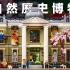 博物馆馆长居然是他！乐高 10326 自然历史博物馆，2023 第二座 LEGO 街景系列开箱！盒组彩蛋与致敬讲解，从恐