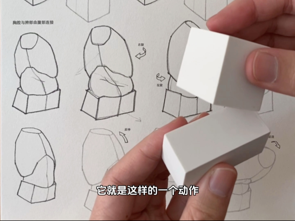 胸腔和胯部怎么连接？破解腹部形变的关键～人物转身、扭动时，腹部的变化太难抓？胸腔和胯部的关系不清楚，画出来总是别扭？