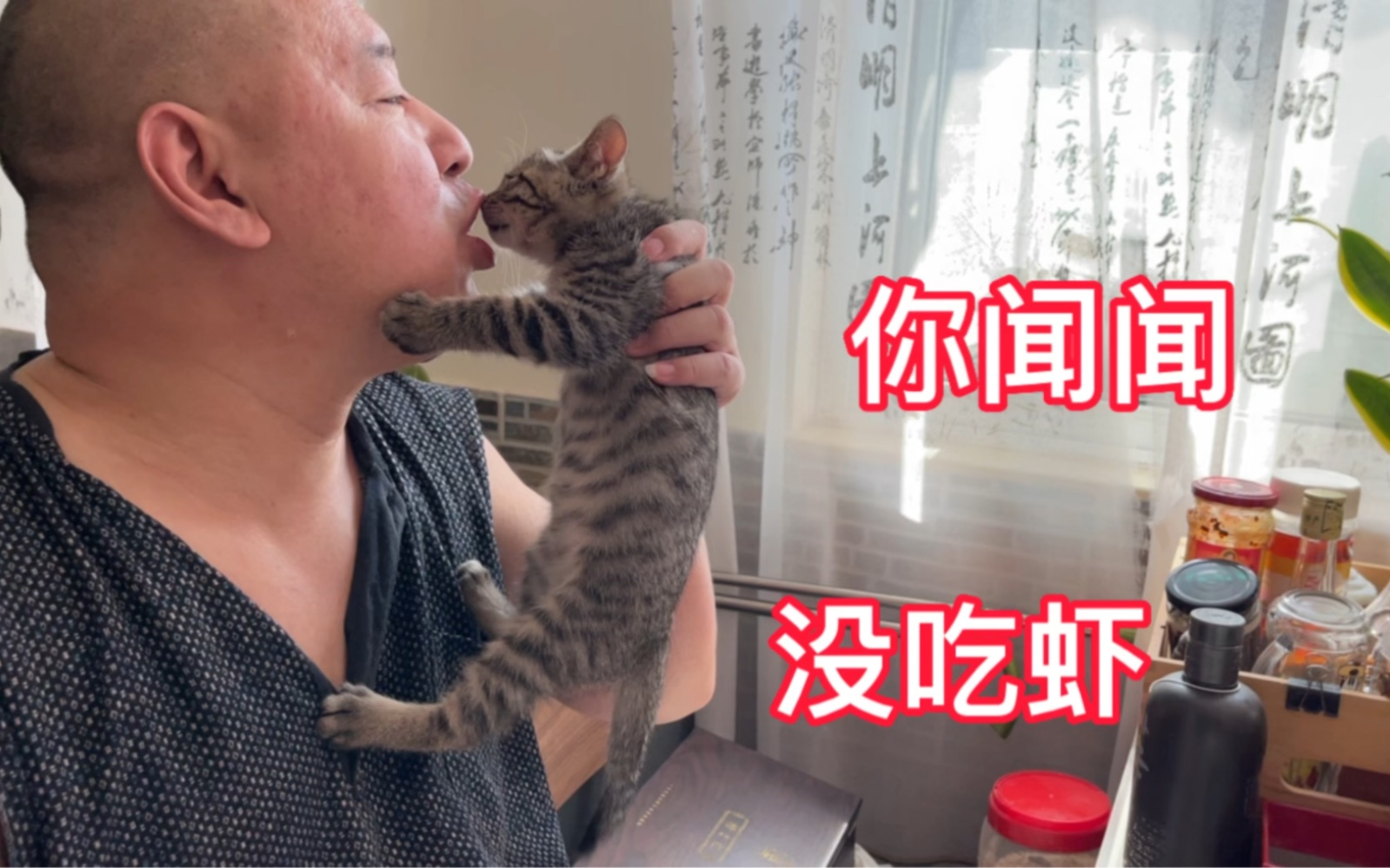 小奶猫是一吃饭就想上饭桌，也想尝尝大家的饭！_哔哩哔哩_bilibili