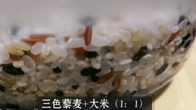 2e4bede4761c45fc90e20f763d35e16e0f980e34.jpg@280w_158h_1c_100q.jpg