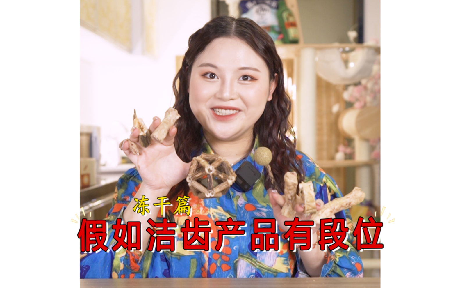 假如猫咪洁齿有段位-冻干篇，钻石就是强啊！