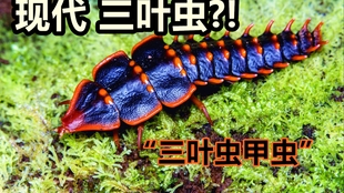 2e574861cfe11e8417f09ba779f7aaccf10a28af.jpg@310w_174h_1c_100q.jpg