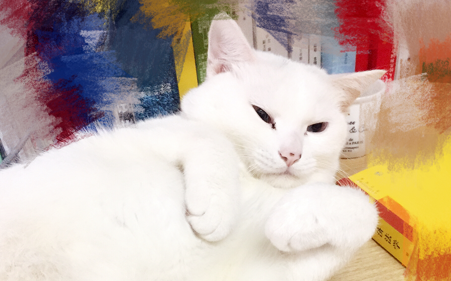 关于大脸星人的视频合集_ 放肆吧