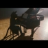 一只弹钢琴的黑猫