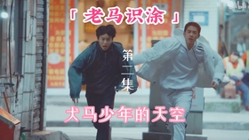舔狗剧情短剧免费观看，情感世界的微妙探索，舔狗剧情短剧，情感微妙之旅的免费探索
