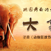 音画 大象 圣桑《动物狂欢节》№5，会跳圆舞曲的大象