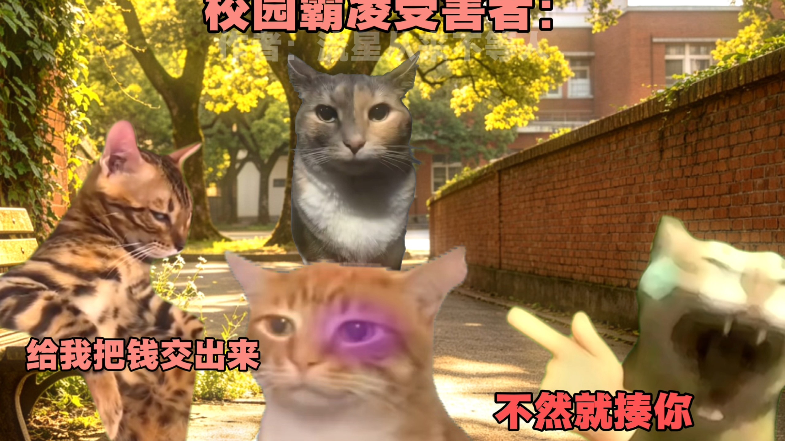 流星从来不等人