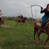 三个女人群体骑马