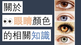 2f0a5ac8476b6e1e946f71c4dfe82373ce8a501d.jpg@280w_158h_1c_100q.jpg