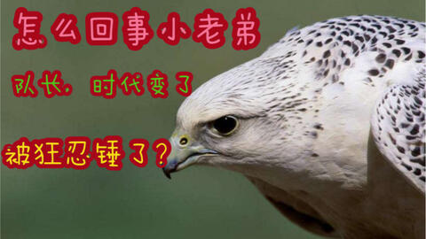 2f0b45a56f95cfec07beb94575f79c6c44e6765c.jpg@480w_270h_1c