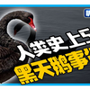 一次看懂 | 人类史上五大黑天鹅事件！这一次是黑天鹅吗