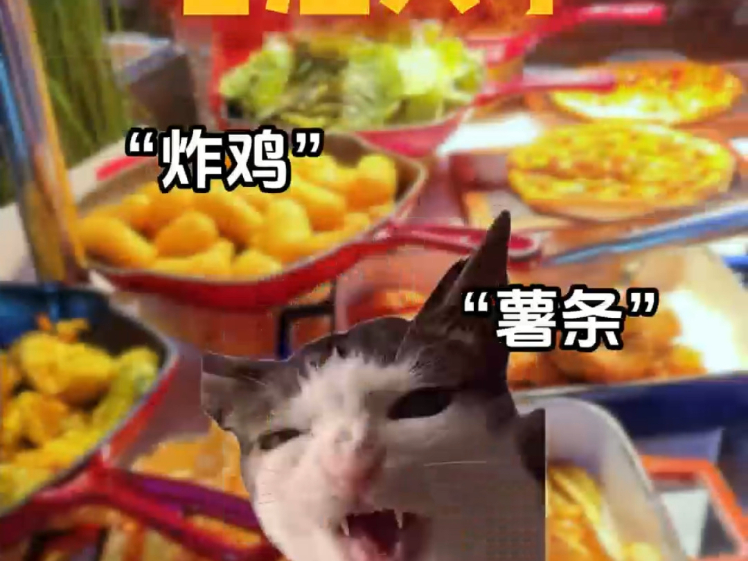 当你和不同人去吃自助时#猫meme小剧场#兄弟#内容过于真实#搞笑#自助餐