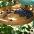 农村姑娘蓝莓园摘蓝莓，吃一半，买一半，剩下炮酒，送蓝莓酒制作方法给大家哦！