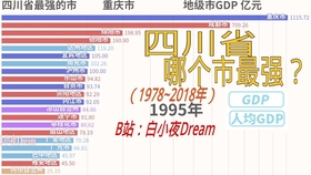 可视化人均gdp_信息可视化