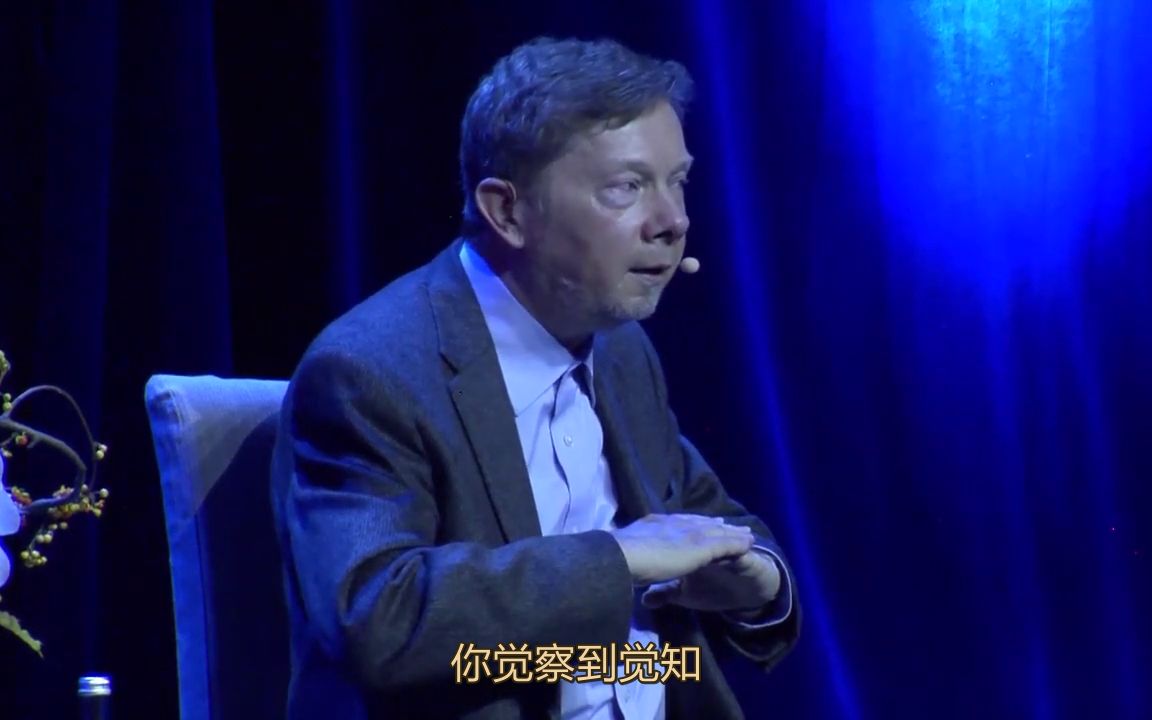 埃克哈特·托利(Eckhart Tolle) 2017年在俄罗斯莫斯科的"当下的力量"现场 合集