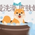 【柴知道×必胜】如何科学地洗狗？为什么洗狗频率不能过高？