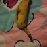 香蕉不能少