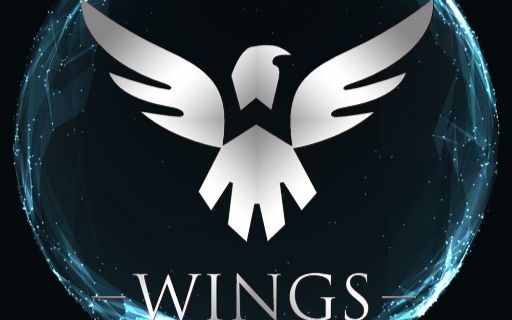 【护国有神翼】ti6 wings战队全场最佳